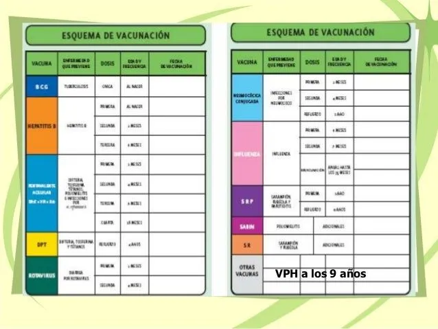 Esquema básico de inmunizaciones en méxico