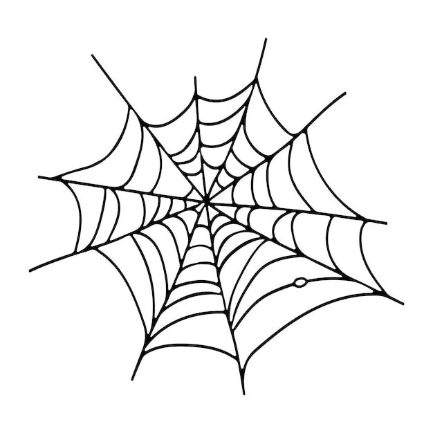 Esquema de doodle de telaraña para el diseño de halloween vector premium | Vector Premium Esquema de doodle de telaraña para el diseño de halloween vector premium | Vector Premium