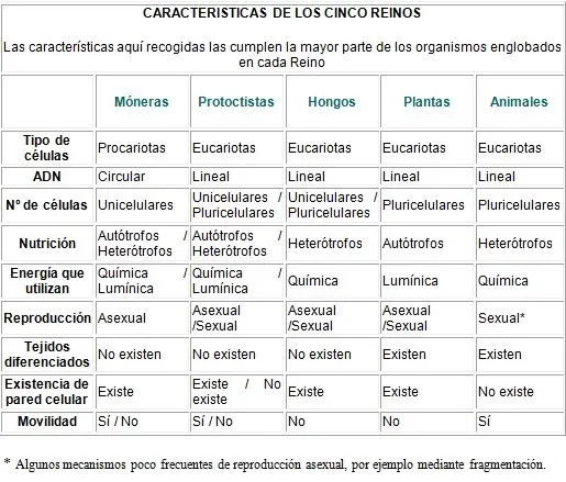 Esquema de los reinos de la naturaleza - Imagui