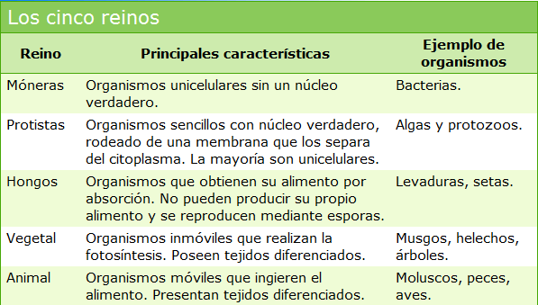 Esquema de los reinos de la naturaleza - Imagui