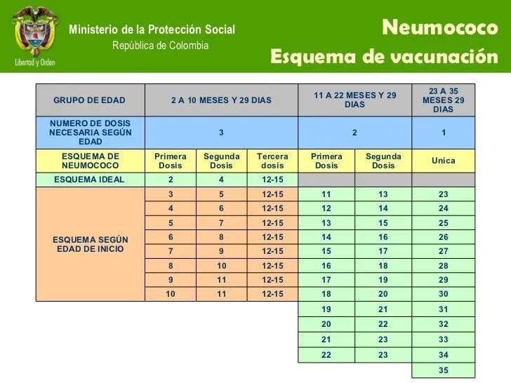 Esquema De Vacunacion Actualizado 200810