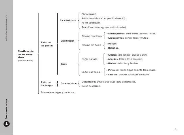 Esquemas conocimiento del medio 3 ciclo de primaria Esquemas conocimiento del medio 3 ciclo de primaria