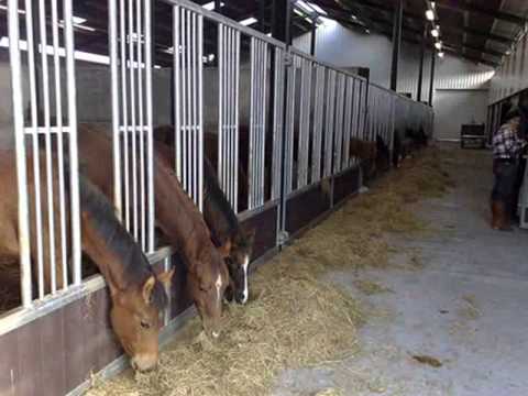 Establos para caballos Equitrainer - YouTube Establos para caballos Equitrainer - YouTube