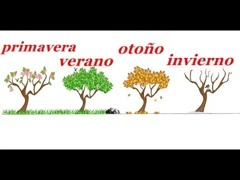 Las 4 estaciones del año.Videos para niños - YouTube Las 4 estaciones del año.Videos para niños - YouTube