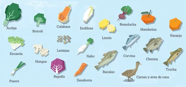 Las cuatro estaciones de la comida | Conexión Brando Las cuatro estaciones de la comida | Conexión Brando