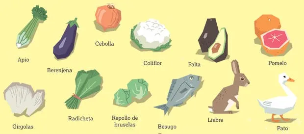 Las cuatro estaciones de la comida | Conexión Brando Las cuatro estaciones de la comida | Conexión Brando