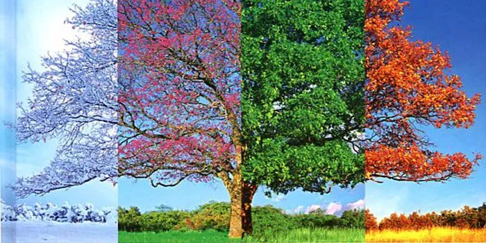 Las 4 estaciones, un libro de fotografía repleto de consejos para ... Las 4 estaciones, un libro de fotografía repleto de consejos para ...