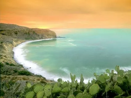 sfondi-desktop-wallpapers- ...