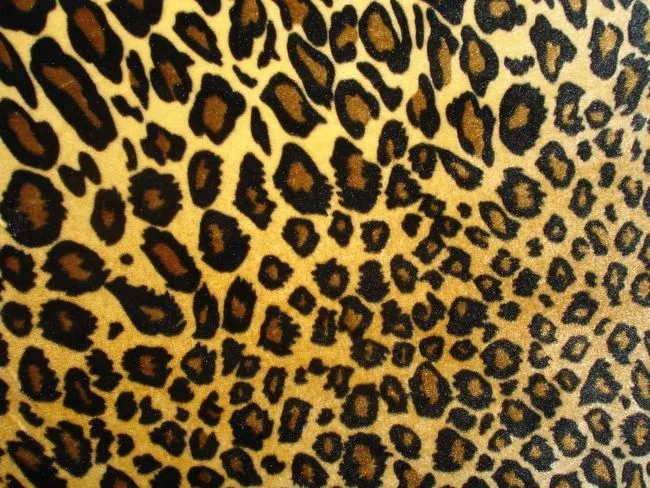 Dedos con Estilo: Estampado de leopardo (Nivel medio) / Leopard ... Dedos con Estilo: Estampado de leopardo (Nivel medio) / Leopard ...