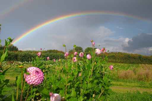 Cuadros Paisajes Arcoiris