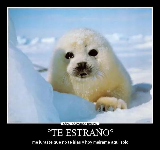 TE ESTRAÑO° | Desmotivaciones