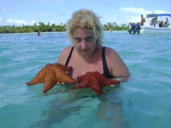 Estrellas Marinas - Picture of La Romana, La Romana Province ... Estrellas Marinas - Picture of La Romana, La Romana Province ...