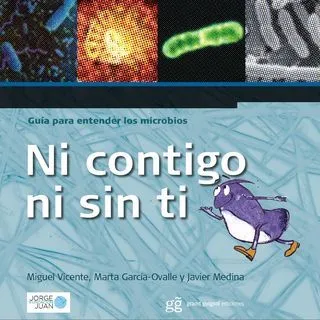Estrellas para orientar a los Magos de Oriente: ideas de regalos ...