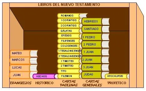 Estructura de la Biblia – Nuevo Testamento | A Imagen y Semejanza