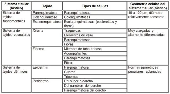 Estructura y fisiología de las plantas - Monografias. Estructura y fisiología de las plantas - Monografias.