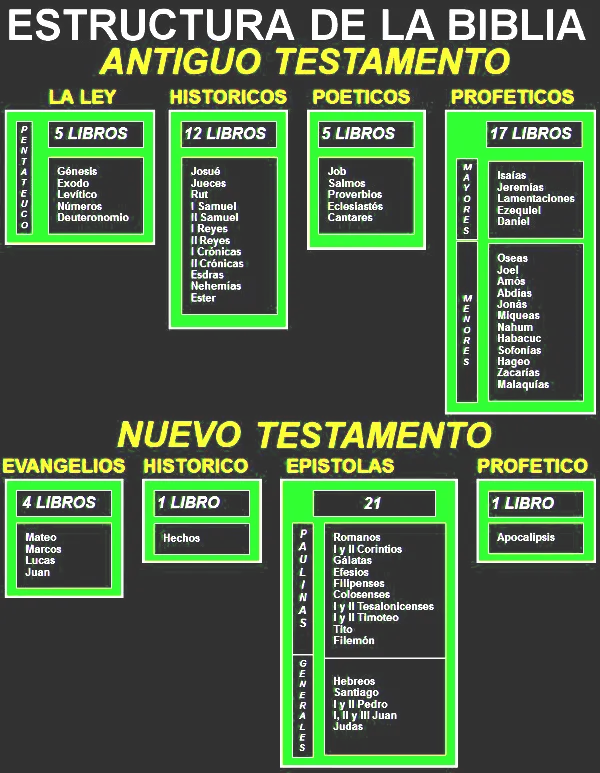 estructura.png