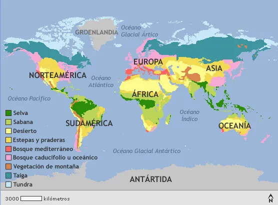Estudiando!: Mapamundi de vegetación en el mundo Estudiando!: Mapamundi de vegetación en el mundo