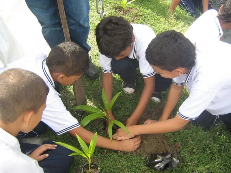 Estudiando!: noviembre 2012