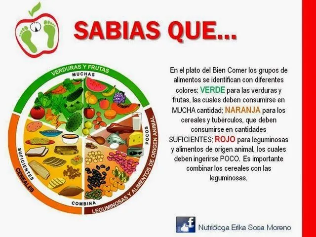 ESTUDIAR Y APRENDER MÁS: EL PLATO DEL BIEN COMER ESTUDIAR Y APRENDER MÁS: EL PLATO DEL BIEN COMER