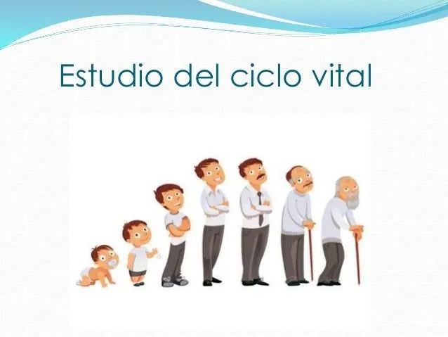 estudio-del-desarrollo-humano- ...