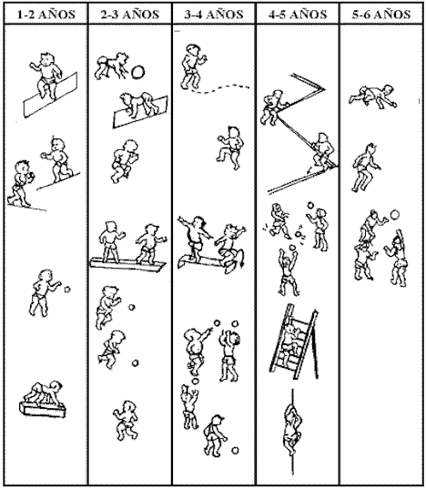 Para colorear de etapas del desarrollo humano - Imagui Para colorear de etapas del desarrollo humano - Imagui