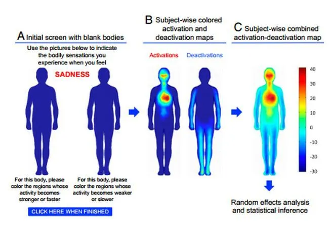 Estudio muestra en que partes del cuerpo humano... | ONE DIGITAL