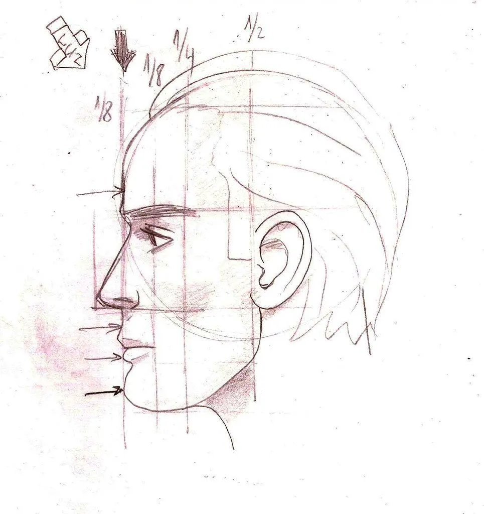 Estudio Villagran Proporciones rostro humano - Taringa!