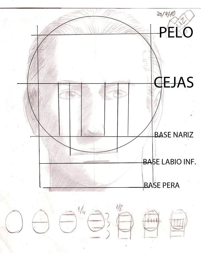 Estudio Villagran Proporciones rostro humano - Taringa!