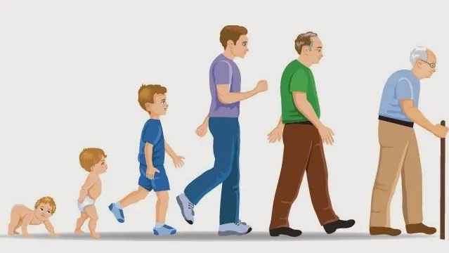 Imagenes de las 2 etapas del desarrollo humano - Imagui Imagenes de las 2 etapas del desarrollo humano - Imagui