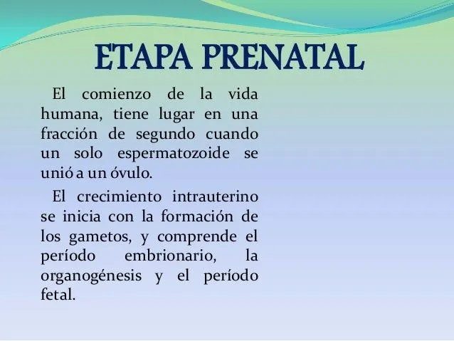 etapa-prenatal-10-638.jpg?cb= ...