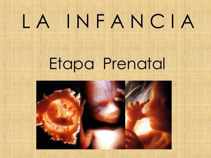 Etapa Prenatal Dllo Fisico