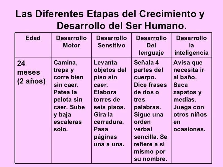 Las Diferentes Etapas Del Crecimiento Y Desarrollo Del