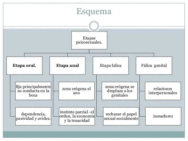 etapas-del-desarrollo-humano- ...