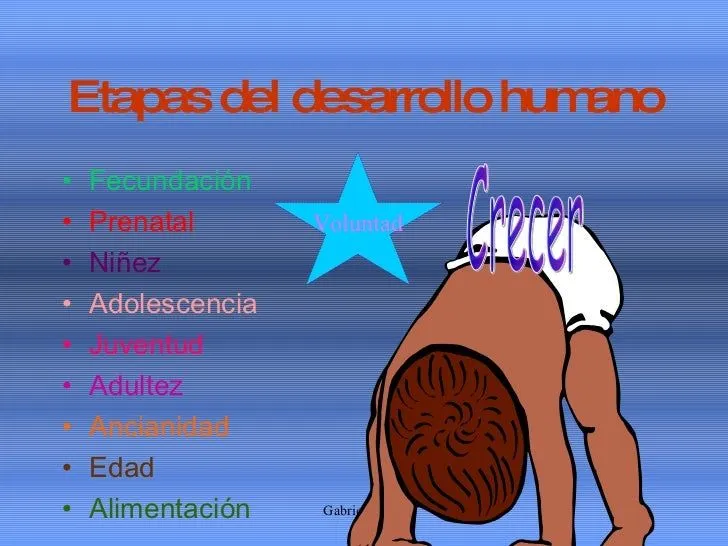 etapas-del-desarrollo-humano-3 ...
