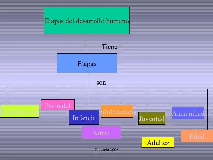 etapas-del-desarrollo-humano-4 ...