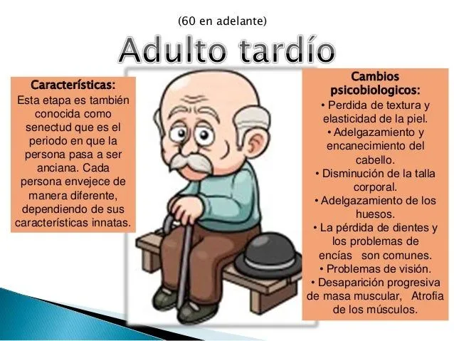 etapas-del-desarrollo-humano-8 ...