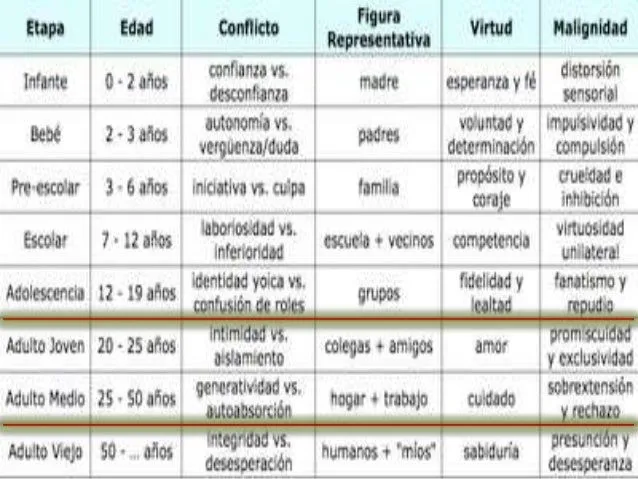 Etapas del desarrollo humano (1)