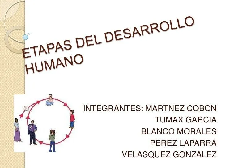 Etapas del desarrollo humano equipo