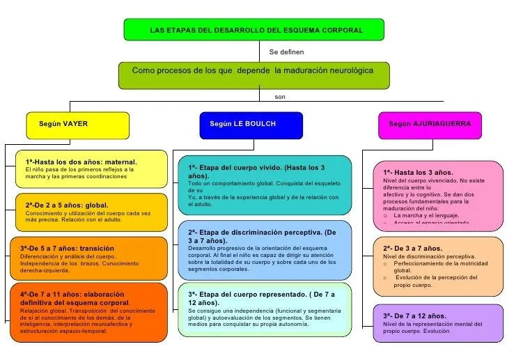 Etapas del desarrollo humano esquema - Imagui