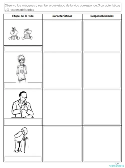 Etapas del desarrollo humano.. Ficha interactiva | TopWorksheets Etapas del desarrollo humano.. Ficha interactiva | TopWorksheets