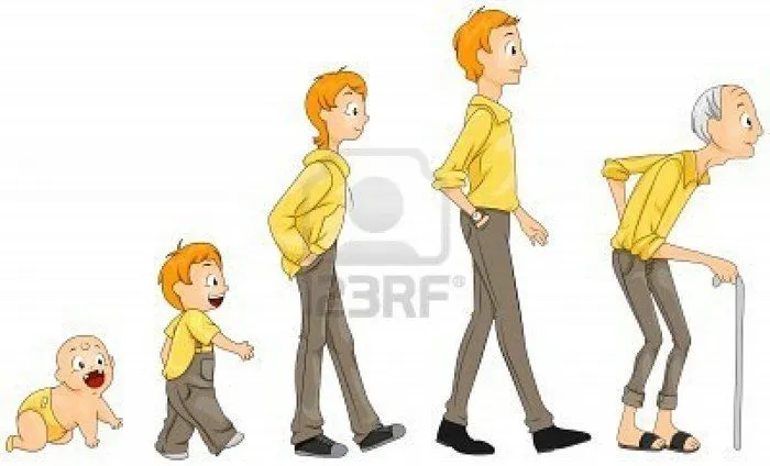 Etapas del desarrollo humano con dibujos - Imagui Etapas del desarrollo humano con dibujos - Imagui
