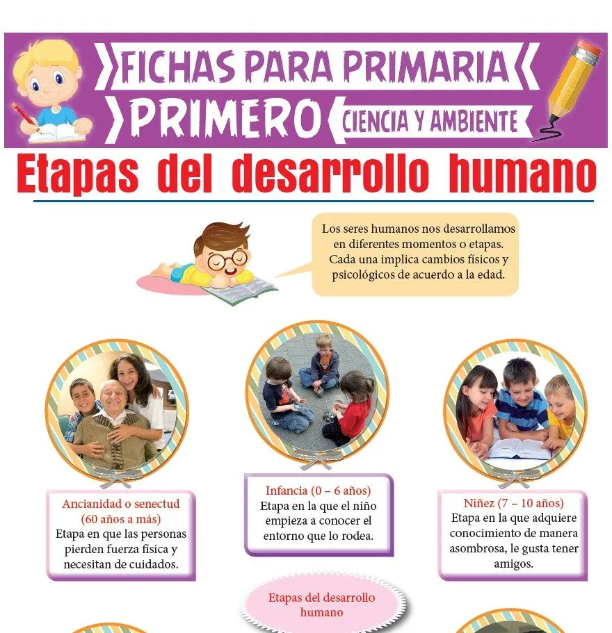 Etapas del Desarrollo Humano para Primero de Primaria Etapas del Desarrollo Humano para Primero de Primaria