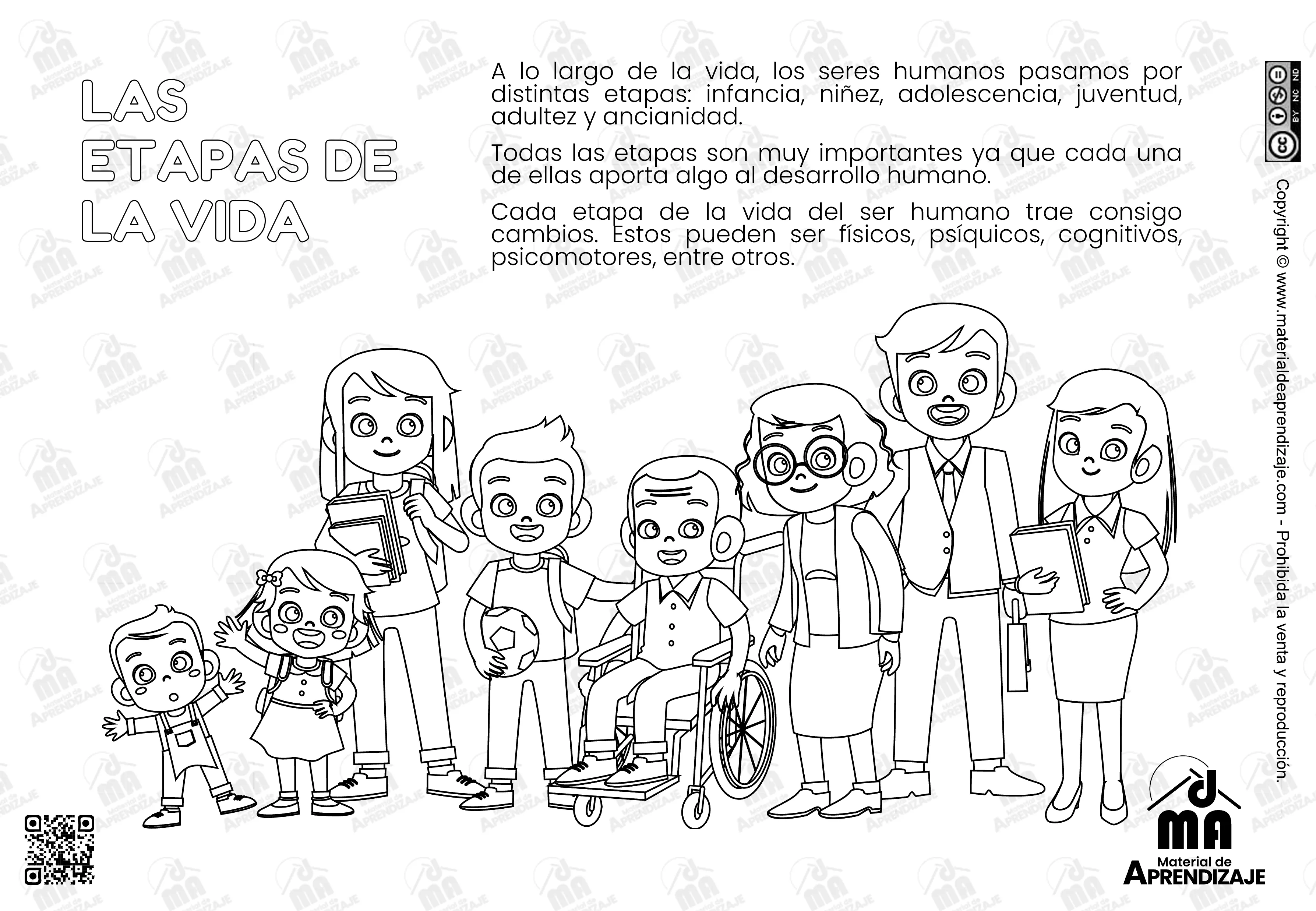 Las etapas de la vida 3er grado : Material de Aprendizaje Las etapas de la vida 3er grado : Material de Aprendizaje