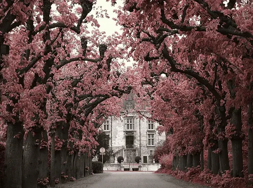 Eternamente Flaneur: abril 2011