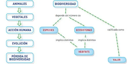 ETICA Y TRANSFORMACION DEL ENTORNO: mayo 2011