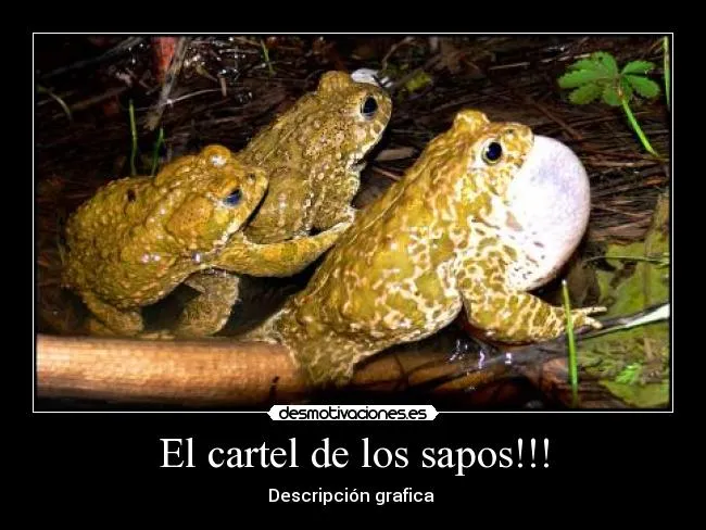 Etiqueta: que-viva-el-orgullo - desmotivaciones. Etiqueta: que-viva-el-orgullo - desmotivaciones.