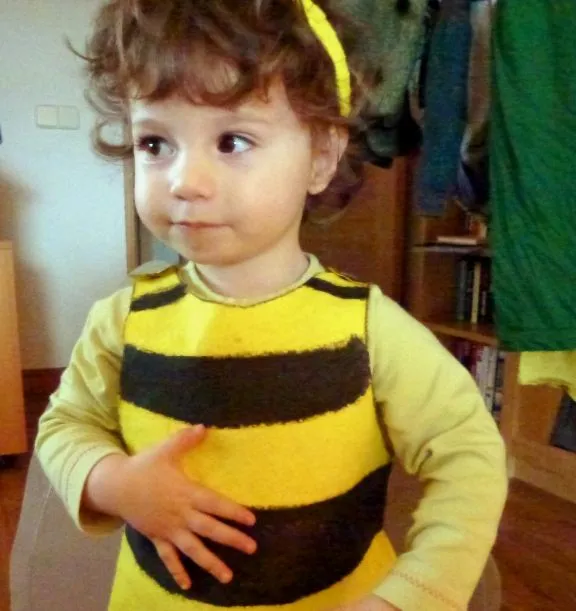 Etología Familiar: Disfrazada de Abeja Maya
