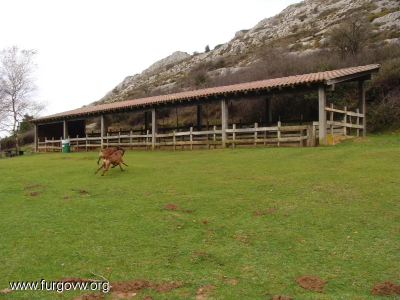 EUSKADI] DIA DE FRIO.. dia de monte(Markina)con bebe y perros..