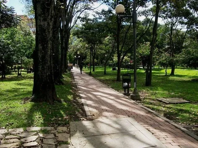 Evalúan estado de árboles por humedad en parques de Arequipa