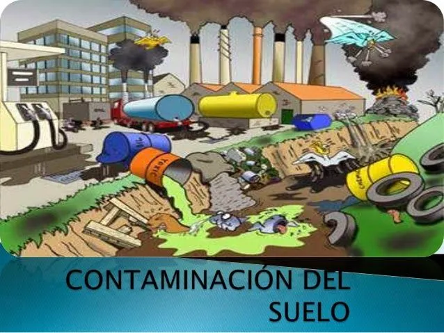 SalvemosVerde: Cómo evitar la contaminación del suelo